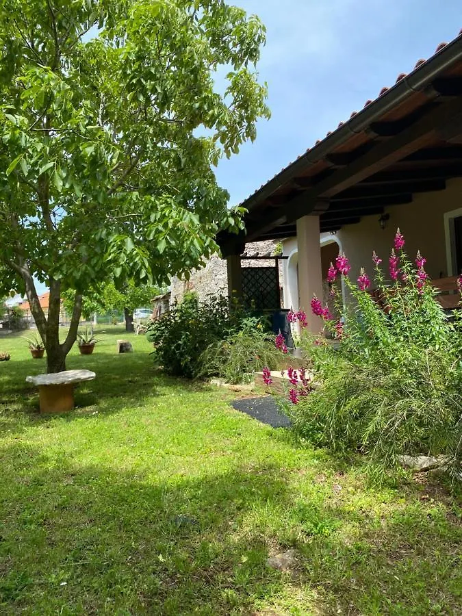 Apartman 