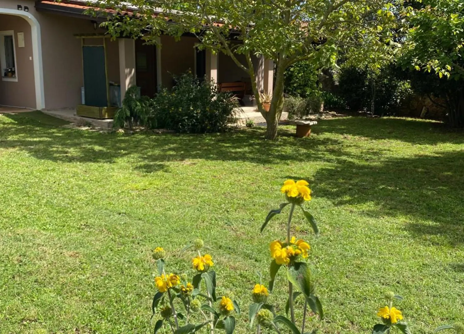 Apartman 